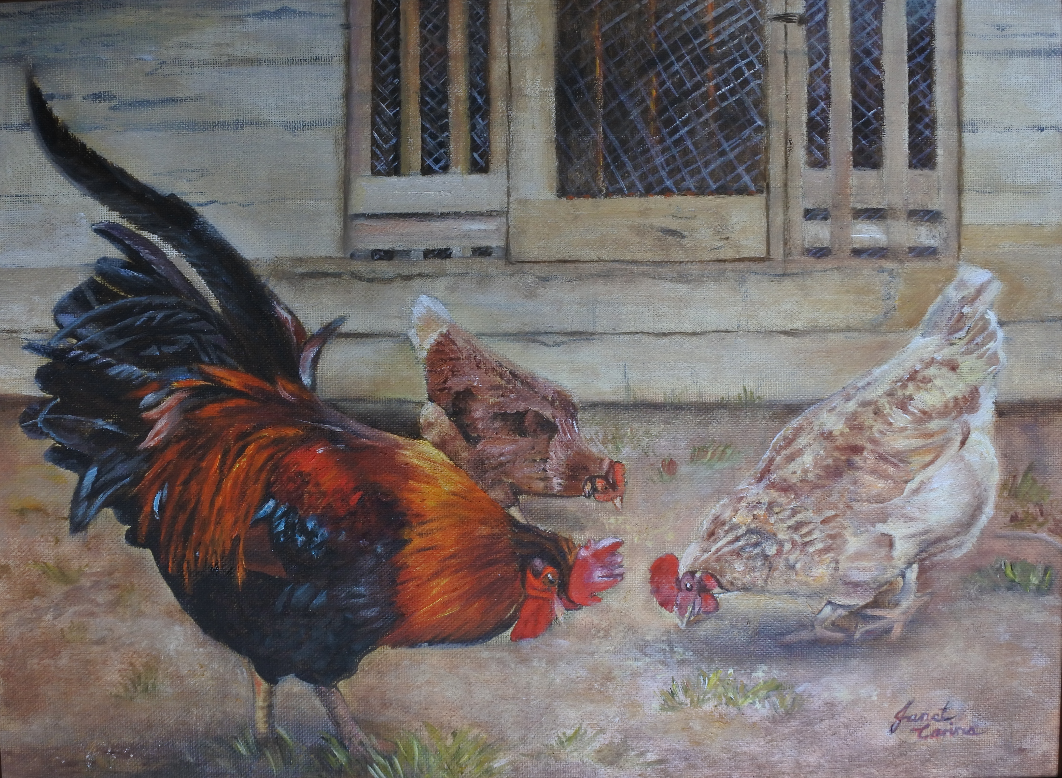 Feathered Friends - oil on canvas 50x40cms.JPG